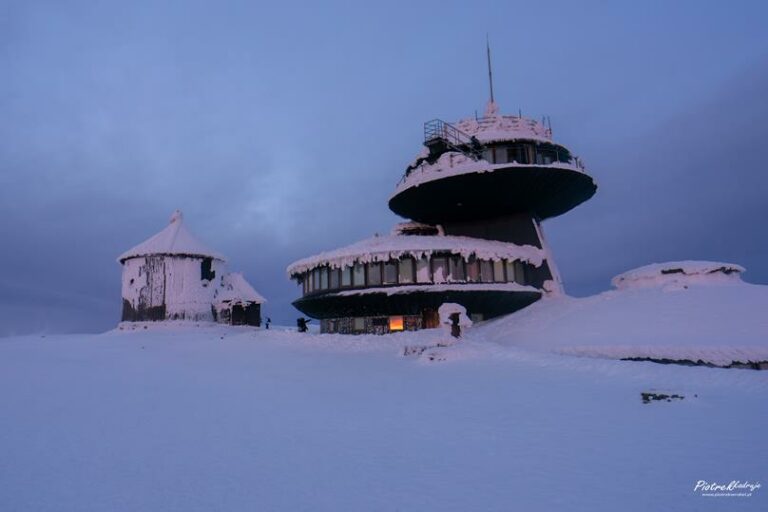 Nowa wystawa w Małej Galerii „Przedstawmy się”
