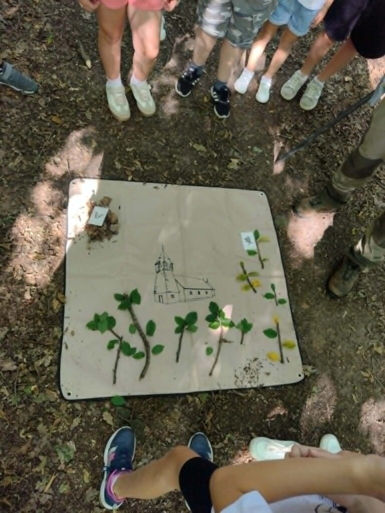 grupa dzieci w lesie