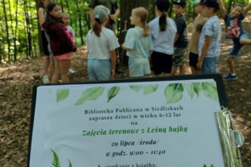 Leśna bajka z elfami